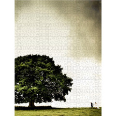 CALVENDO Puzzle CALVENDO Puzzle Juni: Unter herrlichem Sommergrun lasst es die Liebe bluhen. Пазл CALVENDO Puzzle Июнь: Пусть любовь расцветает под роскошной летней зеленью.