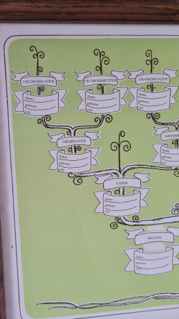 Картина винтажная "Мое генеалогическое древо", в деревянной раме, 47 x 33 см, Германия, 1960-1970гг.