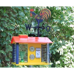 Wissner aktiv lernen Wetterwarte mit Instrumenten und Wetterhahn Метеостанция с приборами и флюгером