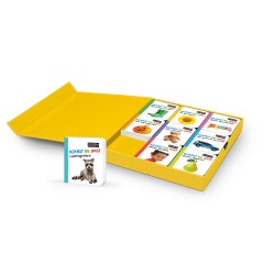 Sauerlander Verlag Duden 12+ Kennst du das? Meine bunte Spiel-und-Lernbox: Kinderwelt Дуден 12+ Вы это знаете? Моя красочная коробка для игр и обучения: детский мир