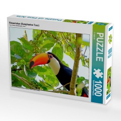 CALVENDO Puzzle CALVENDO Puzzle Riesentukan (Ramphastos Toco) Пазл CALVENDO Пазл Токо Тукан (Ramphastos Toco)