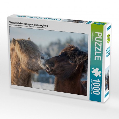 CALVENDO Puzzle CALVENDO Puzzle Die Hengste beschnuppern sich ausgiebig. Головоломка CALVENDO Puzzle Жеребцы много обнюхивают друг друга.