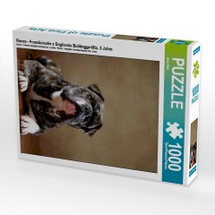 CALVENDO Puzzle CALVENDO Puzzle Rocco Пазл CALVENDO Пазл Рокко
