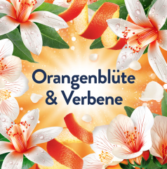 Lenor Weichspuler Orangenblute &amp; Verbene 71 WL, Кондиционер для белья с ароматом цветков апельсина и вербены, 71 загрузка (1596мл)
