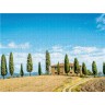 CALVENDO Puzzle CALVENDO Puzzle Haus in der Toskana Пазл CALVENDO Дом-пазл в Тоскане
