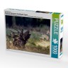 CALVENDO Puzzle CALVENDO Puzzle Emotionale Momente: Hirschbrunft. Part III. Пазл CALVENDO Пазл Эмоциональные моменты: Оленья гонка. Часть 3