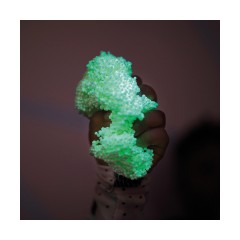 Learning Resources® Playfoam® Schaumknete Glow In The Dark Пенная глина Playfoam®