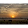 CALVENDO Puzzle CALVENDO Puzzle Morgennebel in Schleswig-Holstein Пазл CALVENDO Puzzle Утренний туман в земле Шлезвиг-Гольштейн