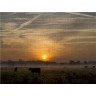 CALVENDO Puzzle CALVENDO Puzzle Morgennebel in Schleswig-Holstein Пазл CALVENDO Puzzle Утренний туман в земле Шлезвиг-Гольштейн