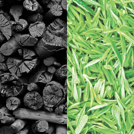 Mylee Warmwachsperlen Aktivkohle & Gruner Tee  Теплый восковой жемчуг, активированный уголь и зеленый чай