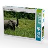 CALVENDO Puzzle CALVENDO Puzzle Elefant....in freier Wildbahn Пазл CALVENDO Puzzle Elephant....в дикой природе