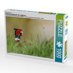 CALVENDO Puzzle CALVENDO Puzzle Emotionale Momente: Der Jagdfasan. Пазл CALVENDO Пазл Эмоциональные моменты: Охота на фазана.