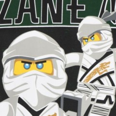 LEGO Langarmshirt fur Jungen Рубашка с длинным рукавом для мальчиков