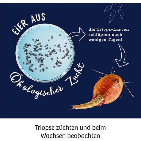 Kosmos Fun Science Triops zuchten Разведение Fun Science Triops