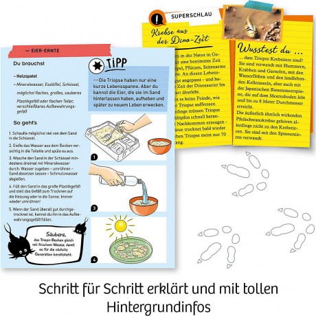 Kosmos Fun Science Triops zuchten Разведение Fun Science Triops