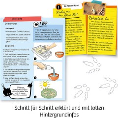 Kosmos Fun Science Triops zuchten Разведение Fun Science Triops