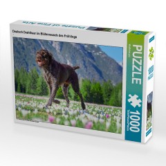 CALVENDO Puzzle CALVENDO Puzzle Deutsch Drahthaar im Blutenrausch des Fruhlings Пазл CALVENDO Puzzle Немецкий жесткошерстный пойнтер в цветущем весеннем безумии