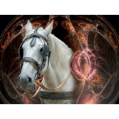 CALVENDO Puzzle CALVENDO Puzzle Das Portrat Пазл CALVENDO Пазл Портрет