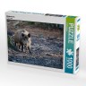 CALVENDO Puzzle CALVENDO Puzzle Wildschwein Пазл CALVENDO Пазл Кабан