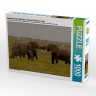 CALVENDO Puzzle CALVENDO Puzzle Spielstunde der Elefanten in freier Wildbahn. Kenia Пазл CALVENDO Puzzle Игра для слонов в дикой природе. Кения