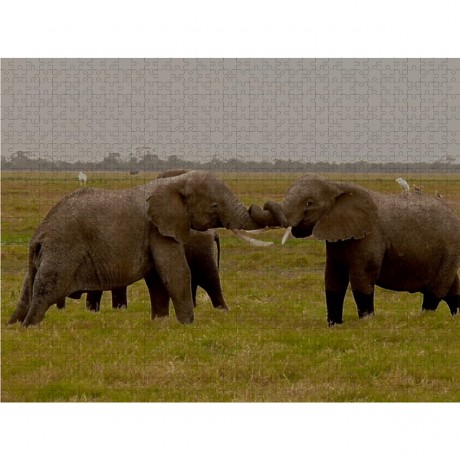 CALVENDO Puzzle CALVENDO Puzzle Spielstunde der Elefanten in freier Wildbahn. Kenia Пазл CALVENDO Puzzle Игра для слонов в дикой природе. Кения