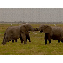 CALVENDO Puzzle CALVENDO Puzzle Spielstunde der Elefanten in freier Wildbahn. Kenia Пазл CALVENDO Puzzle Игра для слонов в дикой природе. Кения