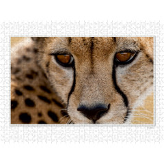 CALVENDO Puzzle CALVENDO Puzzle Emotional Moments: Die Augen der Tiere. UK-Version Пазл CALVENDO Puzzle Emotional Moments: Глаза животных. версия для Великобритании
