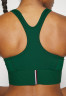 Tommy Hilfiger MID INTENSITY MONOGRAM TAPE Medium support sports bra prep green MID INTENSITY MONOGRAM TAPE Спортивный бюстгальтер со средней поддержкой подготовка зеленый