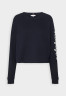 Tommy Hilfiger ROPE PUFF PRINT Sweatshirt desert sky ПРИНТ ROPE PUFF Толстовка небо пустыни
