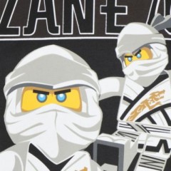 LEGO Langarmshirt fur Jungen Рубашка с длинным рукавом для мальчиков