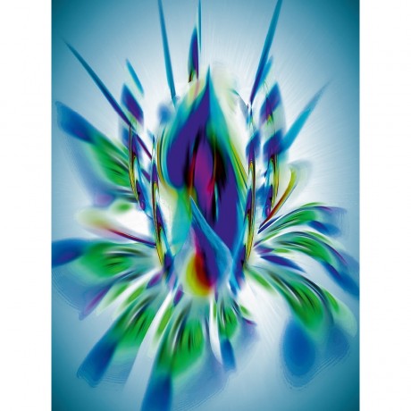 CALVENDO Puzzle CALVENDO Puzzle Bluhende Fantasie Пазл CALVENDO Puzzle Расцветающее воображение