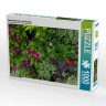 CALVENDO Puzzle CALVENDO Puzzle Sommerblumen und Stauden Пазл CALVENDO Puzzle Летние цветы и многолетники