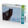 CALVENDO Puzzle CALVENDO Puzzle Islandpferd im Winter Пазл CALVENDO Пазл Исландская лошадь зимой