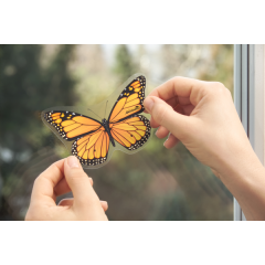 Aeroxon Fliegenkoder Insekten-Falter, Средство-приманка против мух, без запаха и клея,  до 6 месяцев