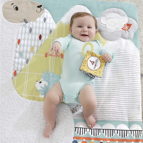 Mattel Fisher-Price 5-Sinnes Spieldecke Игровой коврик Fisher-Price 5-Senses