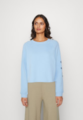 Tommy Hilfiger ROPE PUFF PRINT Sweatshirt vessel blue ПРИНТ ROPE PUFF Толстовка сосуд синий