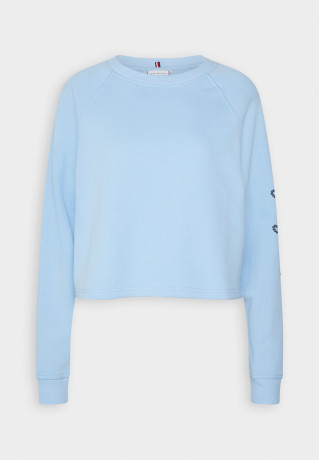 Tommy Hilfiger ROPE PUFF PRINT Sweatshirt vessel blue ПРИНТ ROPE PUFF Толстовка сосуд синий