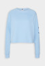 Tommy Hilfiger ROPE PUFF PRINT Sweatshirt vessel blue ПРИНТ ROPE PUFF Толстовка сосуд синий