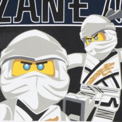 LEGO Langarmshirt fur Jungen Рубашка с длинным рукавом для мальчиков