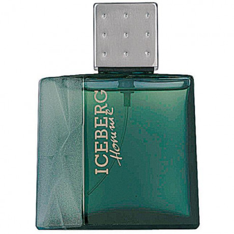Iceberg Homme Eau de Toilette Туалетная вода 50 г