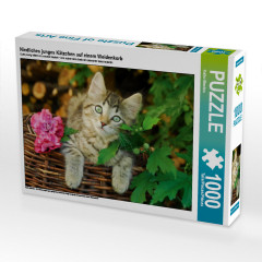 CALVENDO Puzzle CALVENDO Puzzle Niedliches junges Katzchen auf einem Weidenkorb Пазл CALVENDO Puzzle Милый котенок на плетеной корзине