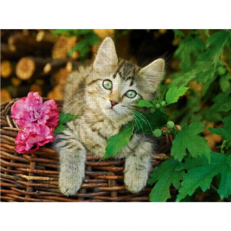 CALVENDO Puzzle CALVENDO Puzzle Niedliches junges Katzchen auf einem Weidenkorb Пазл CALVENDO Puzzle Милый котенок на плетеной корзине