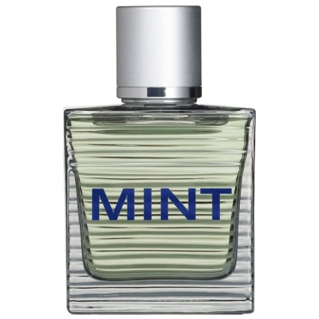 Toni Gard Spray Eau de Toilette (EdT) Туалетная вода Mint Man, 30 мл