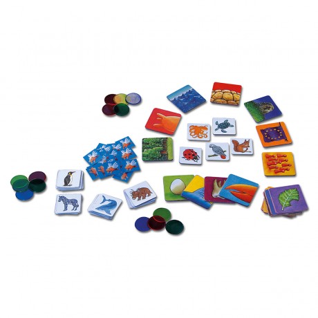 Kosmos Mitbringspiel: Konnen Schweine fliegen? Возьмите с собой игру: Могут ли свиньи летать?