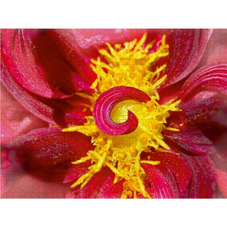 CALVENDO Puzzle CALVENDO Puzzle Eye-Herz Пазл CALVENDO Puzzle Глаз-Сердце