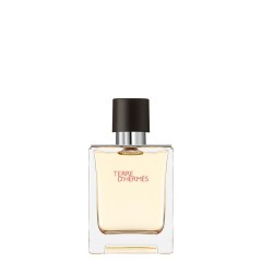 HERMES (Гермес) Eau de Toilette Spray Eau de Toilette (EdT) Туалетная вода Terre d’HERMES (Гермес), 100 мл