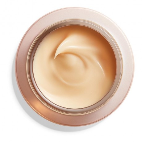 Shiseido Overnight Wrinkle Resisting Cream  Ночной крем против морщин