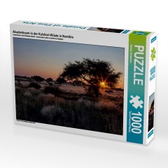 CALVENDO Puzzle CALVENDO Puzzle Akazienbaum in der Kalahari-Wuste in Namibia Пазл CALVENDO Puzzle Дерево акации в пустыне Калахари в Намибии