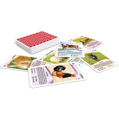 ASS Altenburger Quartett Bauernhof Tiere Квартет сельскохозяйственных животных