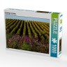 CALVENDO Puzzle CALVENDO Puzzle Weinberge im Herbst Пазл CALVENDO Puzzle Виноградники осенью